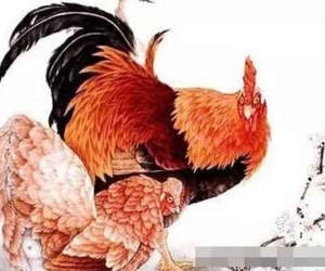 Thần may mắn chiếu cố, 3 con giáp trong tuần cuối tháng 5 sẽ 'như cá gặp nước', phát tài phát lộc