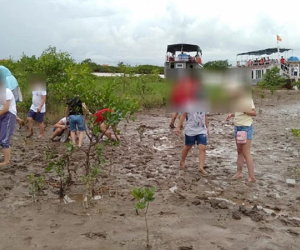 Hà Nội cấm hoạt động trải nghiệm tự phát tại trường học sau vụ học sinh tử vong