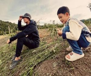 Lý Hải cho các con trải nghiệm với đồng ruộng, 'dầm mưa dãi nắng'