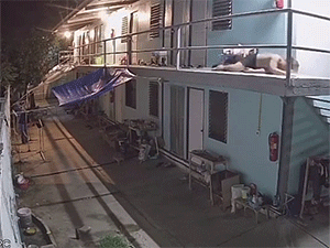 Trời nóng, người đàn ông ngủ ngoài sân và cái kết khiến ai cũng thấy 'đau lòng'