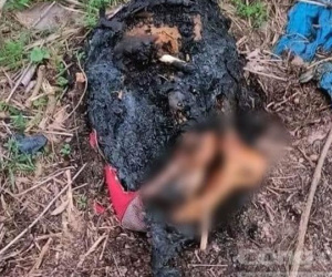 Vụ phát hiện tay chân người bị đốt: Công an Bình Dương rà soát từng công ty để tìm lai lịch nạn nhân