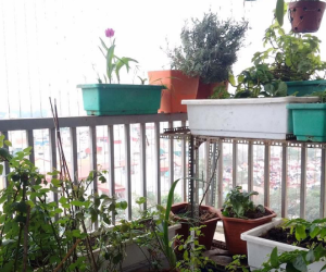 Ngôi nhà xinh xắn, đầy ắp yêu thương chẳng khách sạn 5 sao nào bằng