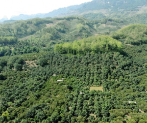 Sàn giao dịch tín chỉ carbon Việt Nam sẽ vận hành vào năm 2028