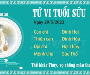 Tử vi thứ 2 ngày 29/05/2023 của 12 con giáp: Mùi được quý nhân nâng đỡ, Sửu vợ chồng xích mích