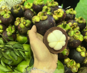 Hiện tượng lạ: Măng cụt rớt giá đầu vụ