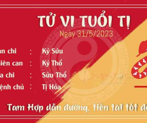 Tử vi thứ 4 ngày 31/05/2023 của 12 con giáp: Tị may mắn, Thân tiền tài bất ổn