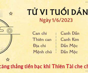 Tử vi thứ 5 ngày 01/06/2023 của 12 con giáp: Dần giảm căng thẳng tiền bạc, Tị dễ gặp chuyện không may