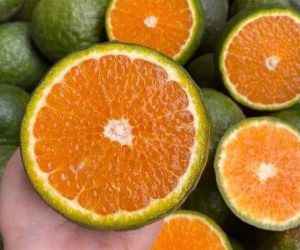 Nắng thiêu đốt, cam sành giải nhiệt giá rẻ bất ngờ