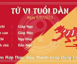 Tử vi thứ 2 ngày 05/06/2023 của 12 con giáp: Dần thành công, Hợi gia đình lục đục