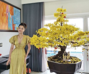 Biệt thự rộng 1300m2 của siêu mẫu Vũ Thu Phương bị trộm đột nhập