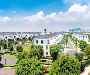 Chứng khoán phục hồi mạnh, vì sao cổ phiếu Novaland liên tục bị bán giải chấp?