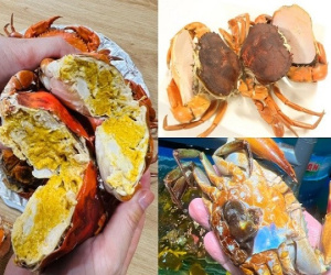Loại cua ngon nhất Việt Nam luôn 'cháy hàng' đắt cỡ nào?
