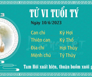 Tử vi Thứ 7 ngày 10/06/2023 của 12 con giáp: Tý đón tài lộc, Tị đề phòng tai họa