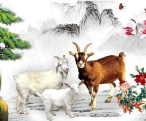Đen không để đâu cho hết: 3 tuổi dính hoạ thị phi, vận hạn cực xấu từ 12/6 đến 18/6/2023