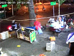 Cây bật gốc vì gió mạnh đè trúng xe người đi đường