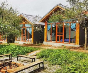 Nhà giàu Hà Nội vỡ mộng khi bỏ hàng chục tỷ đồng làm homestay tại vùng ven: 'Lỗ một nửa tôi cũng bán'