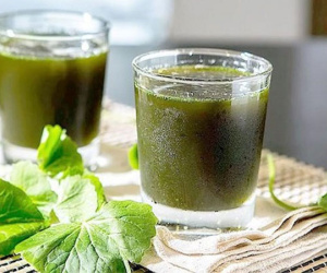Uống nước rau má giải nhiệt phạm phải những sai lầm này rước độc, hại hơn cả thạch tín