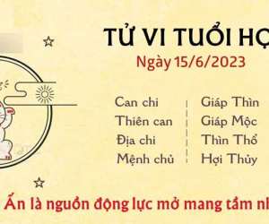 Tử vi thứ 5 ngày 15/06/2023 của 12 con giáp: Ngọ chán nản, Hợi mở mang