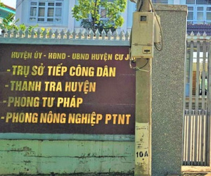 Phó bí thư Chi bộ Phòng Tư pháp… ăn trộm cây hoa giấy!