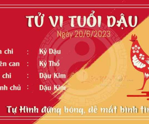 Tử vi thứ 3 ngày 20/06/2023 của 12 con giáp: Tý tài lộc thuận lợi, Dậu tự là khó bản thân