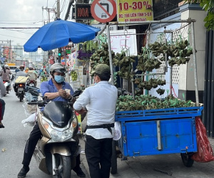 Nhộn nhịp thị trường Tết Đoan Ngọ, bánh ú lá tre chỉ từ 30.000 đồng/chục