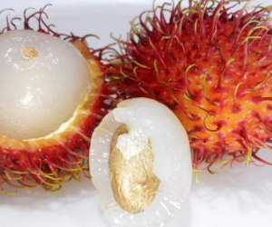 Bé 5 tuổi tử vong vì hóc hạt chôm chôm