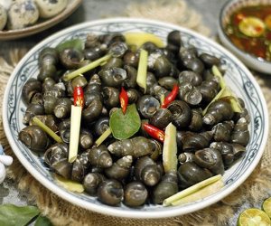 Thói quen ăn ốc ngon giòn làm tăng nguy cơ nhiễm sán đục phá lá gan
