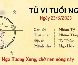 Tử vi thứ 6 ngày 23/06/2023 của 12 con giáp: Ngọ nóng nảy, Hợi thuận lợi