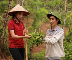Bỏ việc lương 60 triệu về quê khởi nghiệp lĩnh vực 'khó nhằn', 4 năm sau cặp vợ chồng thu về 7 tỷ đồng