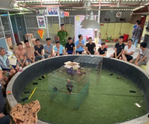 Bắc Giang: Triệt phá tụ điểm đánh bạc dưới hình thức 'Đá gà' bắt giữ 30 đối tượng