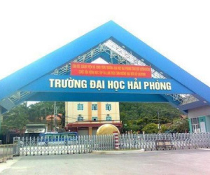 Trường ĐH Hải Phòng tạm đình chỉ giảng viên bị tố gạ tình nữ sinh