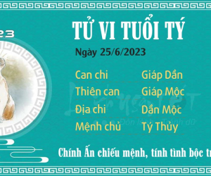 Tử vi Chủ Nhật ngày 25/06/2023 của 12 con giáp: Thìn đón tài lộc, Thân đề phòng lừa đảo