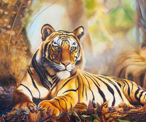 Hết hạn Tam Tai, 3 con giáp này may mắn cả tình lẫn tiền, sống vô ưu vô lo trong thời gian tới