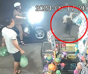 Clip: Hoạ vô đơn chí, cô gái vừa bị giật điện thoại té ngã liền bị chó cắn