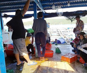 Sau loạt bài 'côn đồ lộng hành ở Vịnh Vân Phong': Trả lại bình yên cho người dân