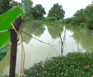 Dùng điện bẫy chuột khiến 2 người thương vong