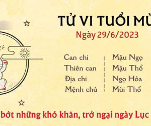 Tử vi thứ 5 ngày 29/06/2023 của 12 con giáp: Mùi bớt khó khăn, Sửu mệt mỏi