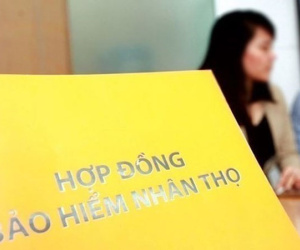 Công bố sai phạm của 4 doanh nghiệp bảo hiểm nhân thọ