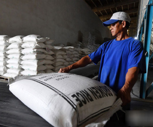 Gạo Việt Nam xuất sang một quốc gia Trung Đông tăng đột biến 12.843%