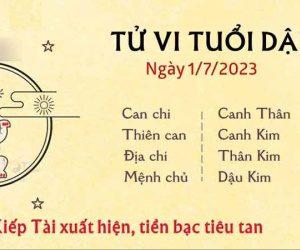 Tử vi thứ 7 ngày 01/07/2023 của 12 con giáp: Tý quý nhân nâng đỡ, Dậu tiền bạc tiêu tan