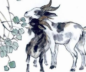 4 con giáp 'cá kiếm' nhất tháng 7 này: Thần tài chiếu mệnh, tiền bạc rủ nhau kéo đến không ai bì kịp