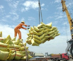 Việt Nam xuất khẩu 1,5 triệu tấn gạo sang Philippines