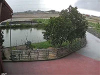 Câu cá dưới đường dây điện, người đàn ông gặp tai nạn kinh hoàng