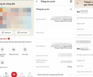 Phát hiện gia đình 'có thêm hai con' nhờ ứng dụng VNeID