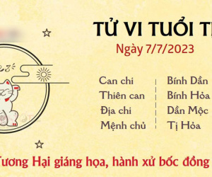 Tử vi thứ 6 ngày 07/07/2023 của 12 con giáp: Tị bốc đồng, Hợi quý nhân giúp đỡ