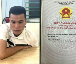 Làm sổ đỏ giả, lừa bán đất rừng chiếm đoạt tiền tỷ