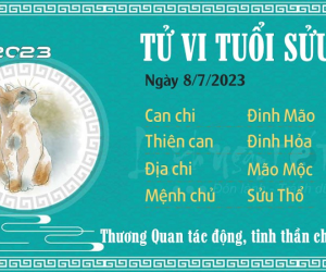 Tử vi Thứ 7 ngày 08/07/2023 của 12 con giáp: Thân đón tài lộc, Dậu đề phòng rắc rối
