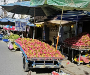 Thanh long lại dội chợ