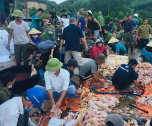 Chập điện giữa trưa, gần 10.000 con gà chết ngạt
