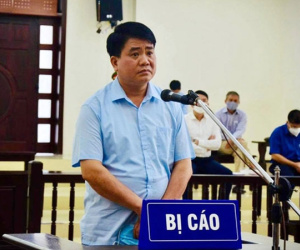 Vụ án 'trồng cây xanh': Mua cây hàng tỉ đồng trồng cho nhà ông Nguyễn Đức Chung